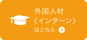 外国人材〈インターン〉募集概要