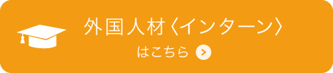 外国人材〈インターン〉募集概要