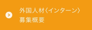 外国人材〈インターン〉募集概要