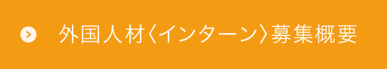 外国人材〈インターン〉募集概要